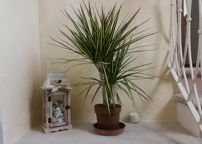 Διαμέρισμα View *